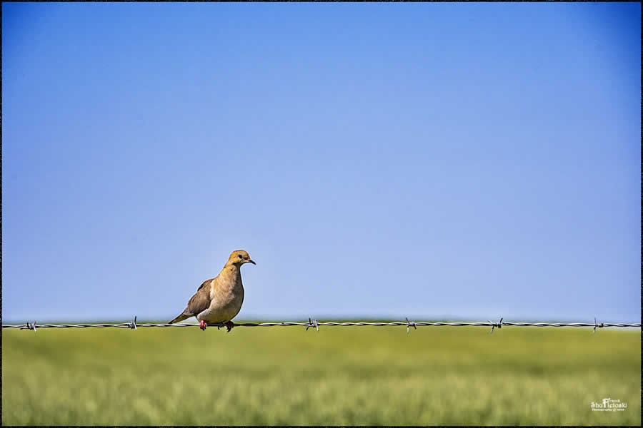 Gurushots Minimalism Photo Challenge Winners