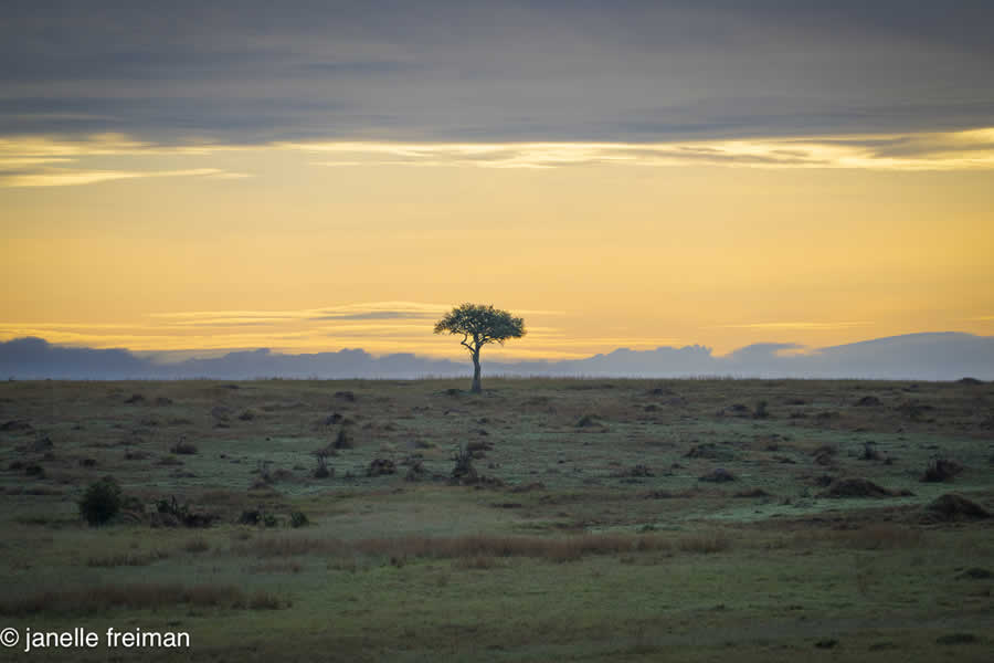 Gurushots Minimalism Photo Challenge Winners
