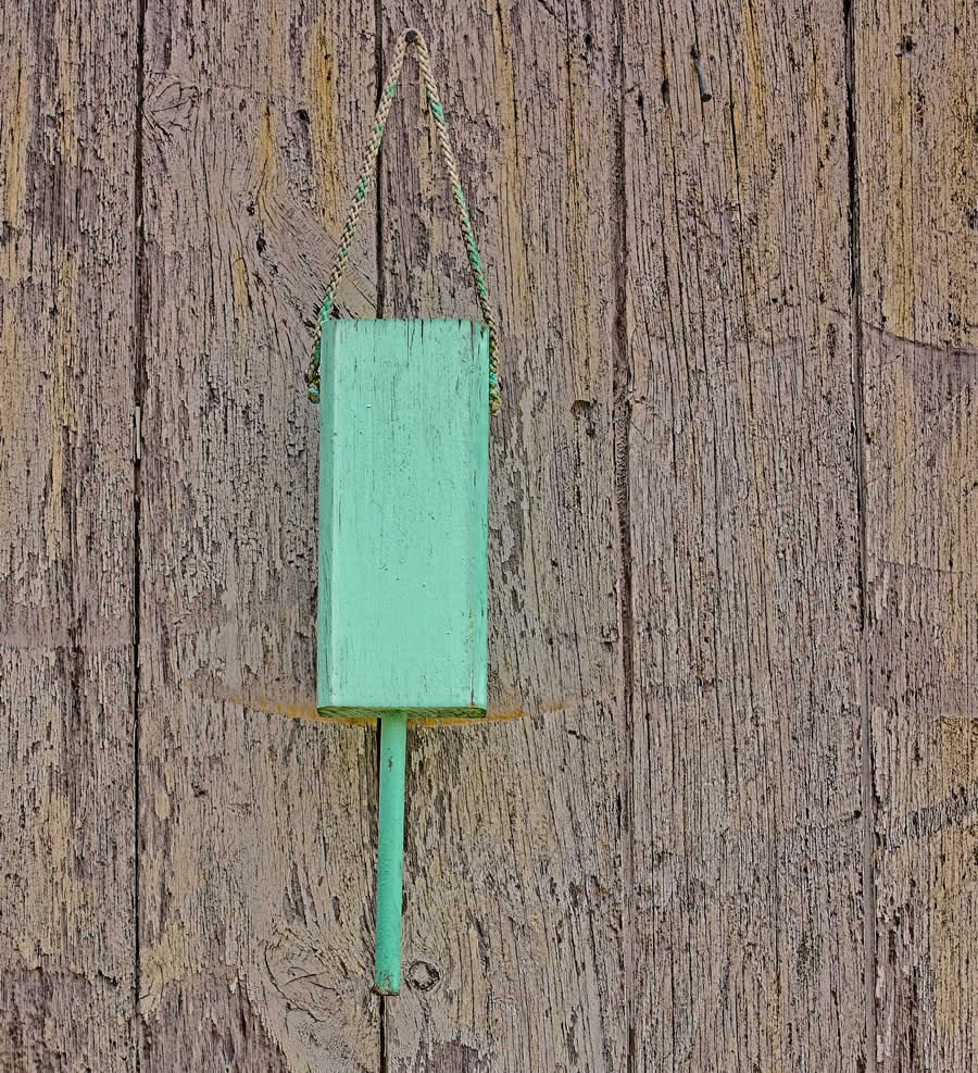Gurushots Minimalism Photo Challenge Winners