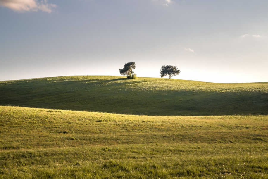 Gurushots Minimalism Photo Challenge Winners