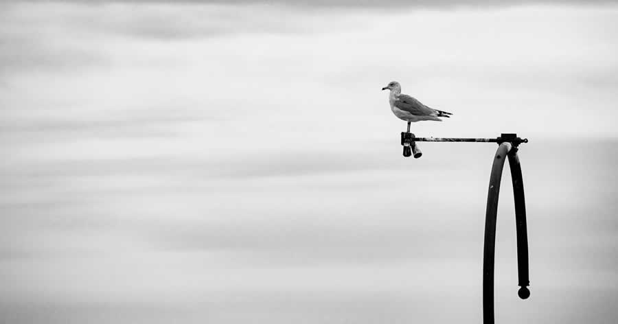 Gurushots Minimalism Photo Challenge Winners