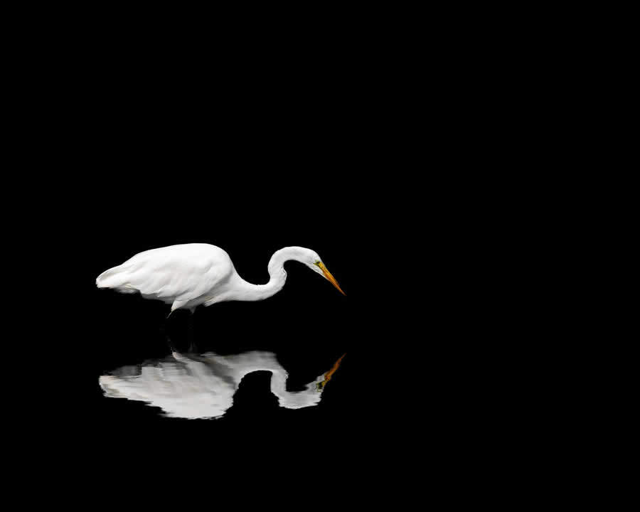 Gurushots Minimalism Photo Challenge Winners