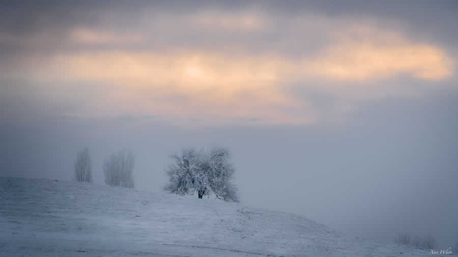 Gurushots Minimalism Photo Challenge Winners