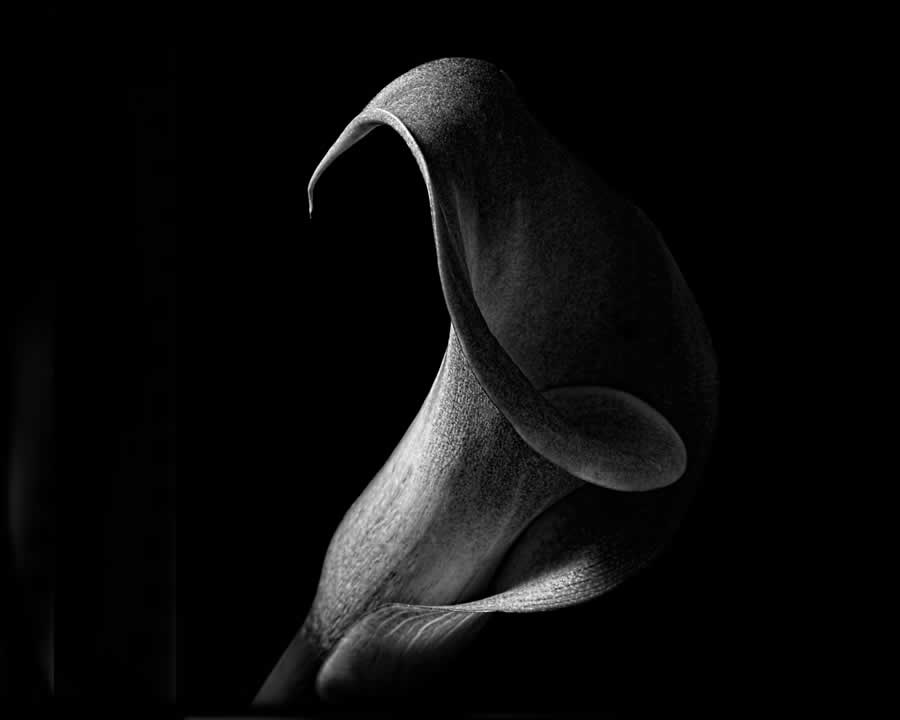 Gurushots Minimalism Photo Challenge Winners