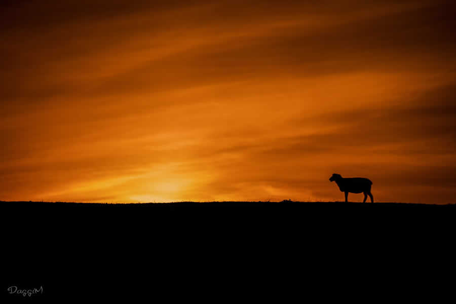 Gurushots Minimalism Photo Challenge Winners