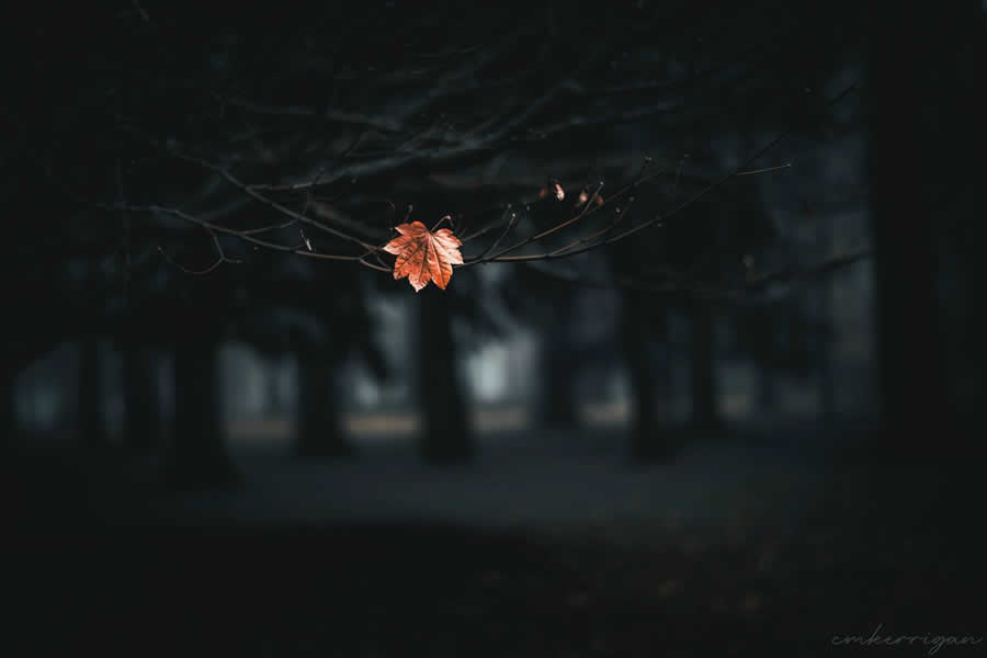 Gurushots Minimalism Photo Challenge Winners