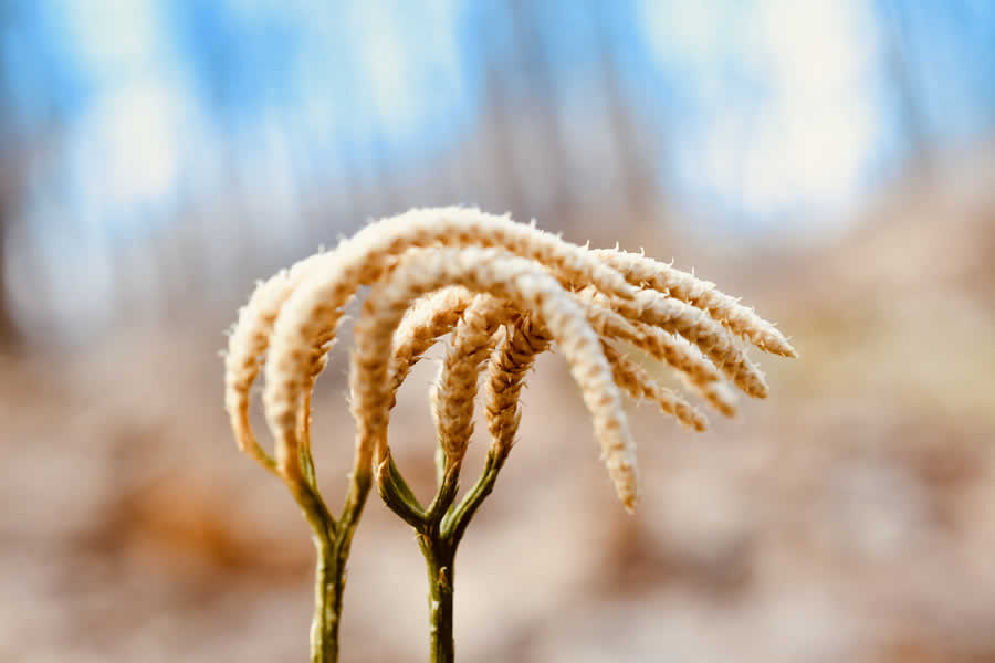 Gurushots Minimalism Photo Challenge Winners