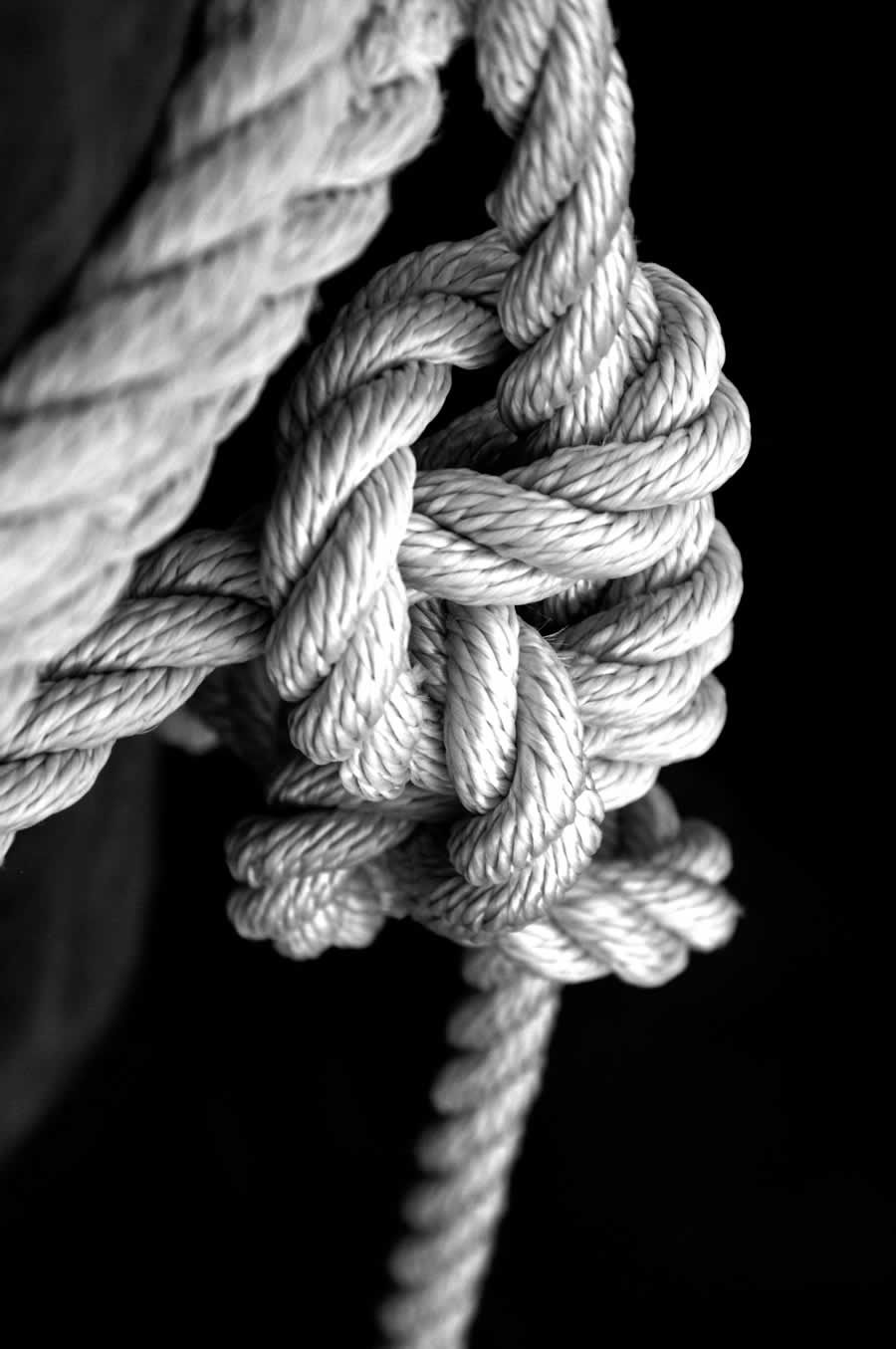Gurushots Minimalism Photo Challenge Winners