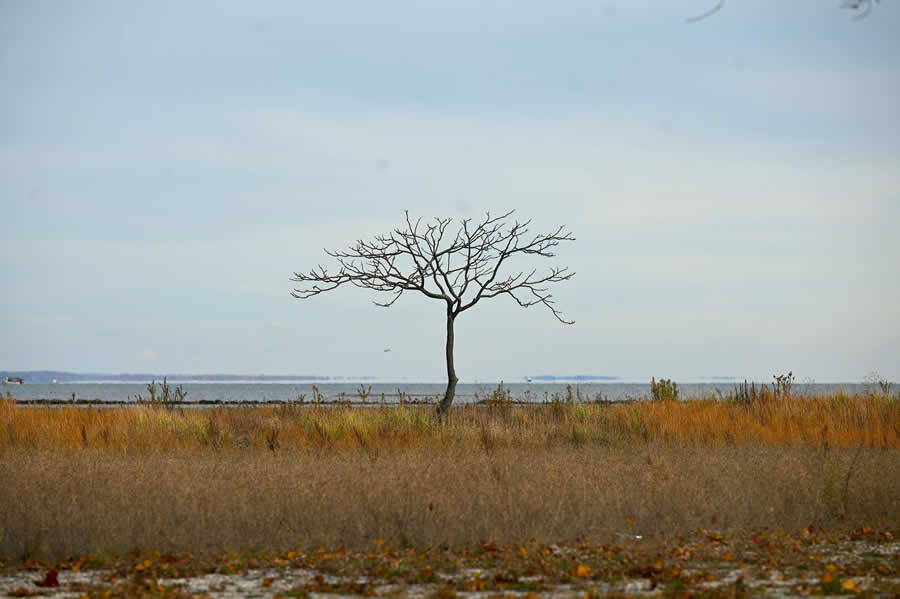 Gurushots Minimalism Photo Challenge Winners