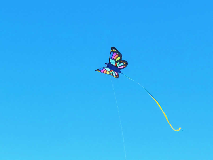 Gurushots Minimalism Photo Challenge Winners