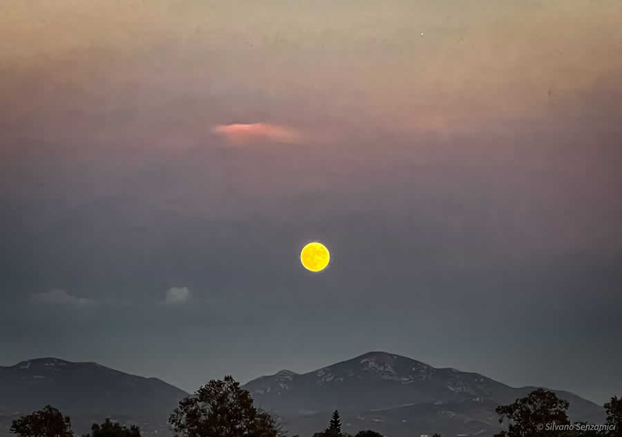 Gurushots Minimalism Photo Challenge Winners