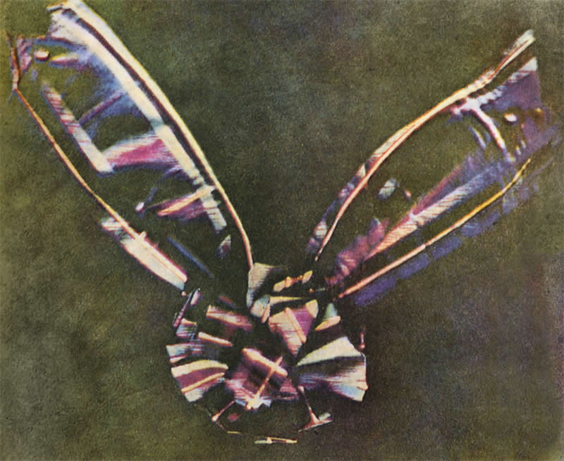 A Fascinating Journey Through the History of Photography