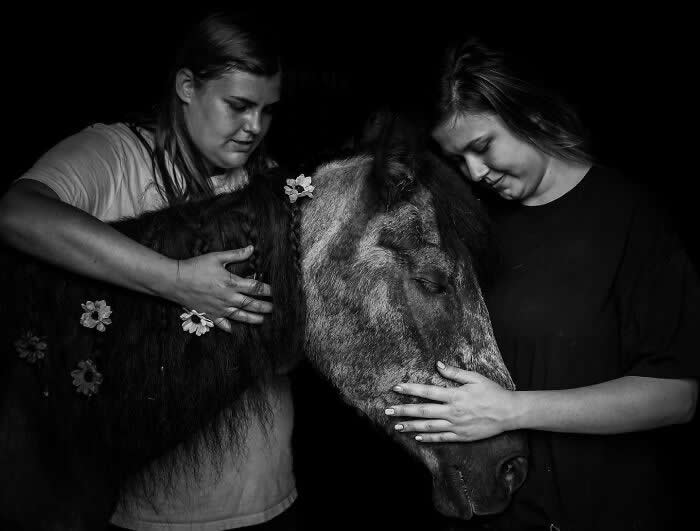 Heartfelt Photos That Capture the Last Goodbyes Between Pets and Owners