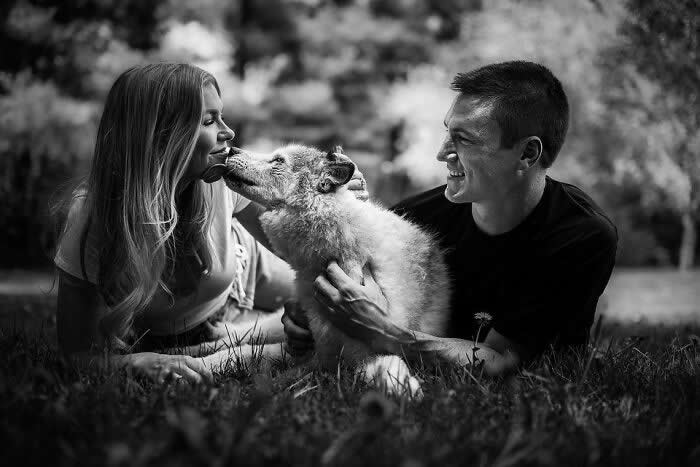 Heartfelt Photos That Capture the Last Goodbyes Between Pets and Owners