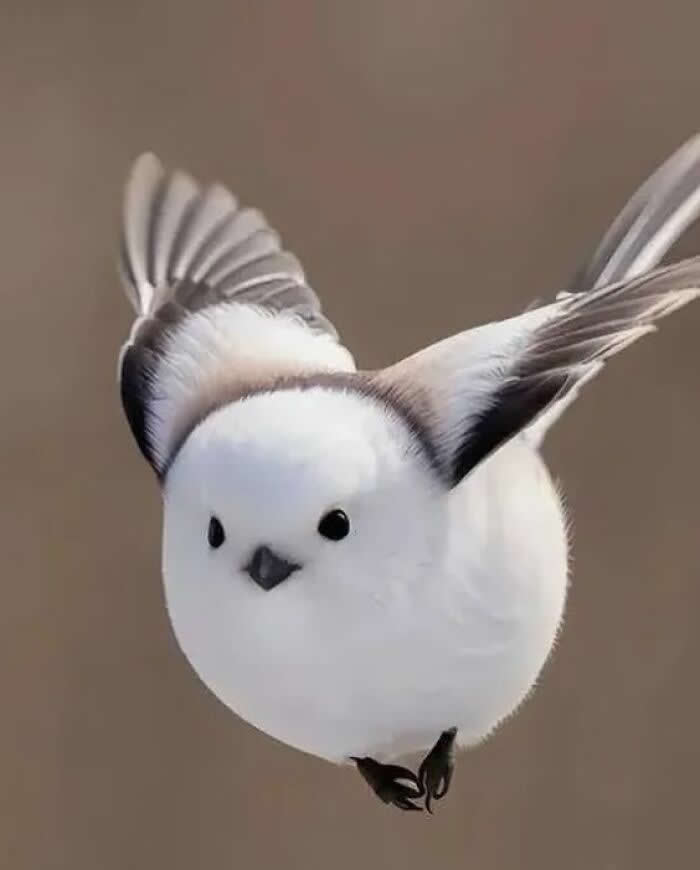 Heartwarming Animal Moments That Will Melt Your Heart