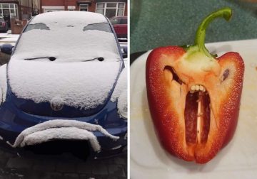The Hidden Faces Around Us Everyday Pareidolia