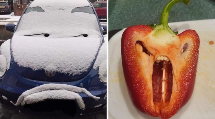 The Hidden Faces Around Us Everyday Pareidolia