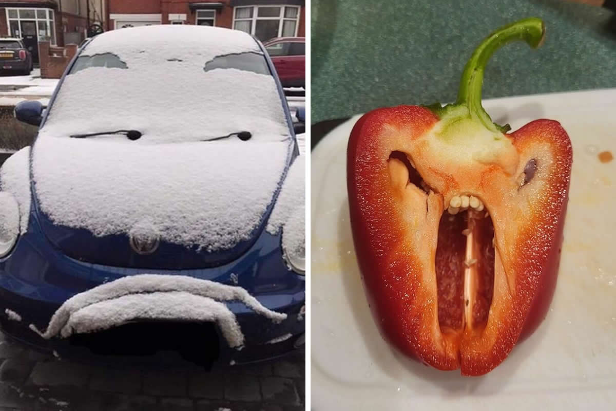 The Hidden Faces Around Us Everyday Pareidolia