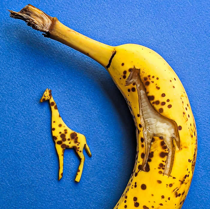 Hilarious Creative Artworks by Romain Joly