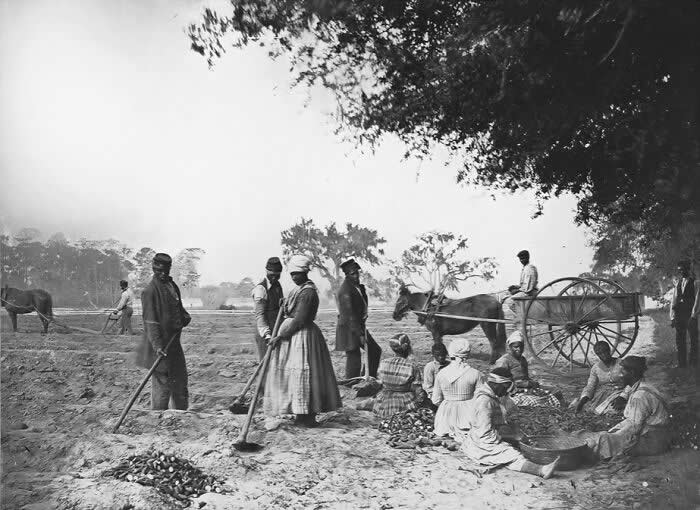 Historic Photos That Tell the Story of American Life