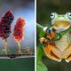Macro Photos That Show Nature Never Seen Before