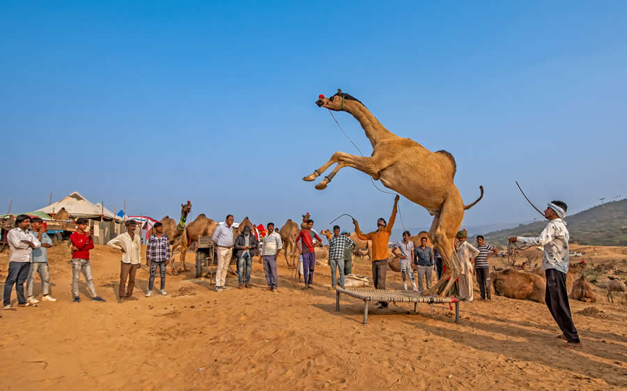 Travel and Documentary Photography by Abhishek Basak