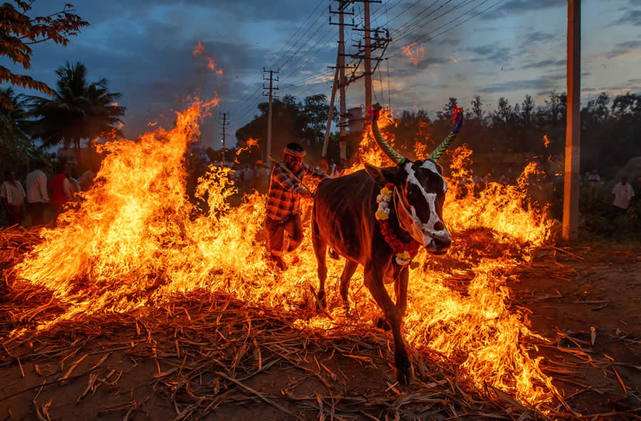 Travel and Documentary Photography by Abhishek Basak
