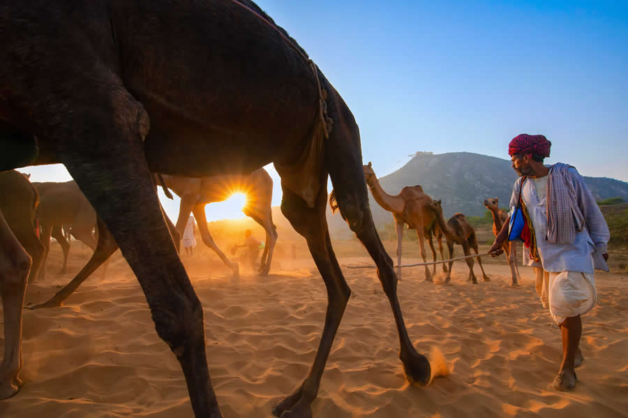 Travel and Documentary Photography by Abhishek Basak