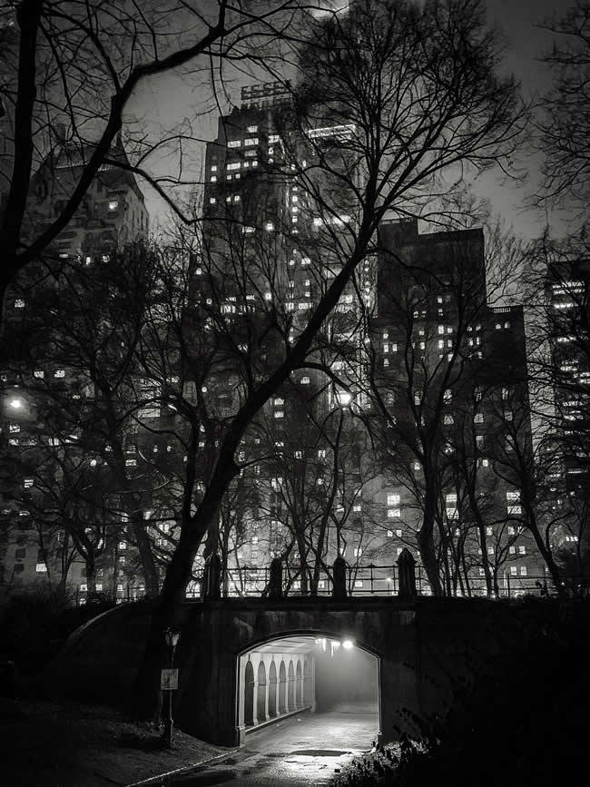2025 iPhone Photography Awards Winners