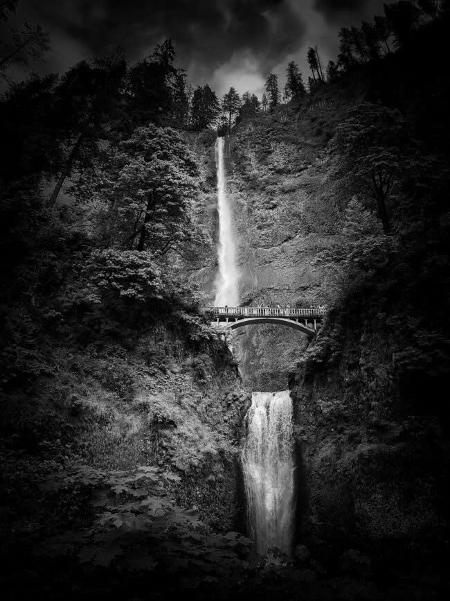 2025 iPhone Photography Awards Winners