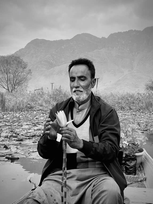 2025 iPhone Photography Awards Winners