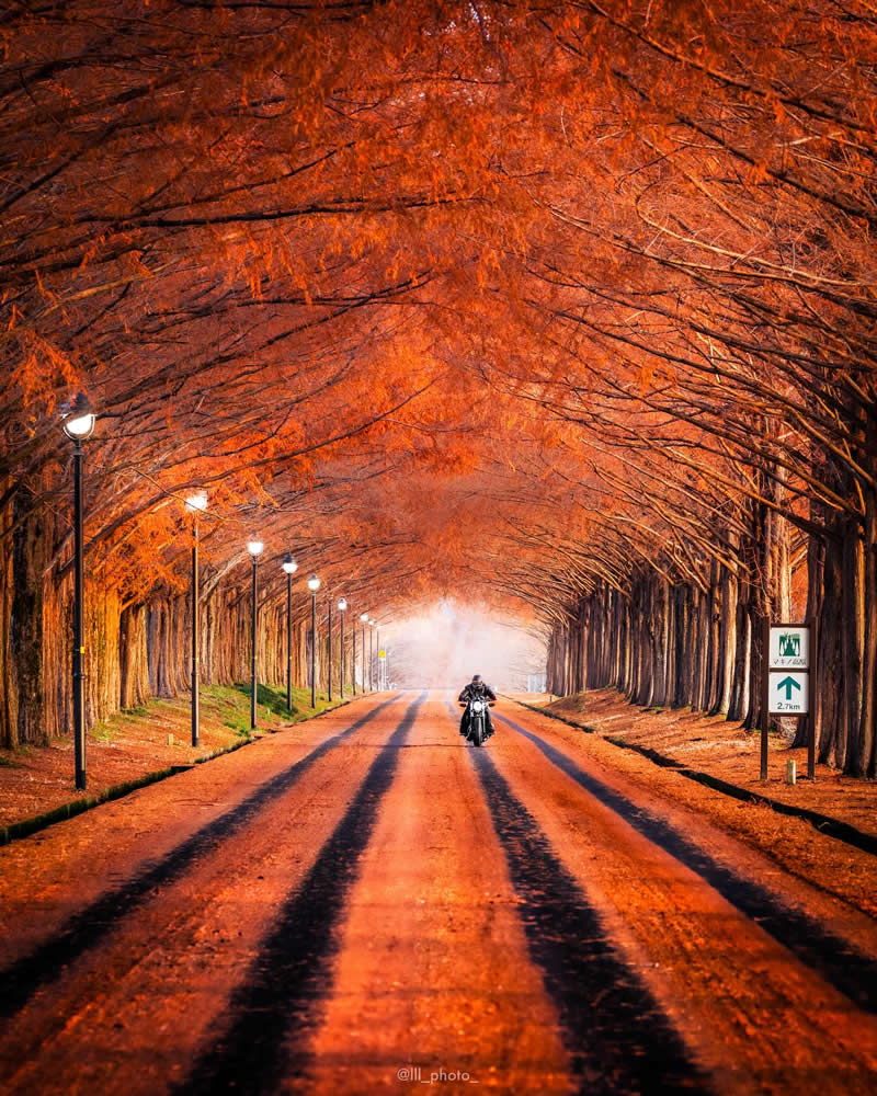 Japan Photography by Lu Hasegawa