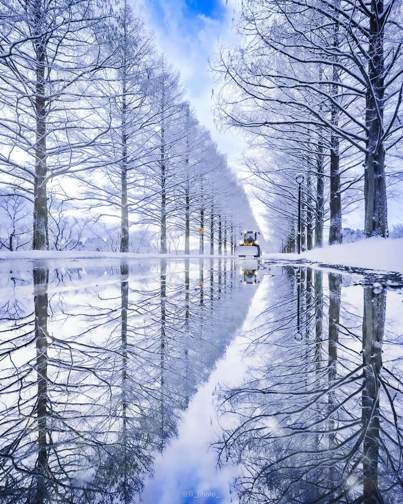 Japan Photography by Lu Hasegawa