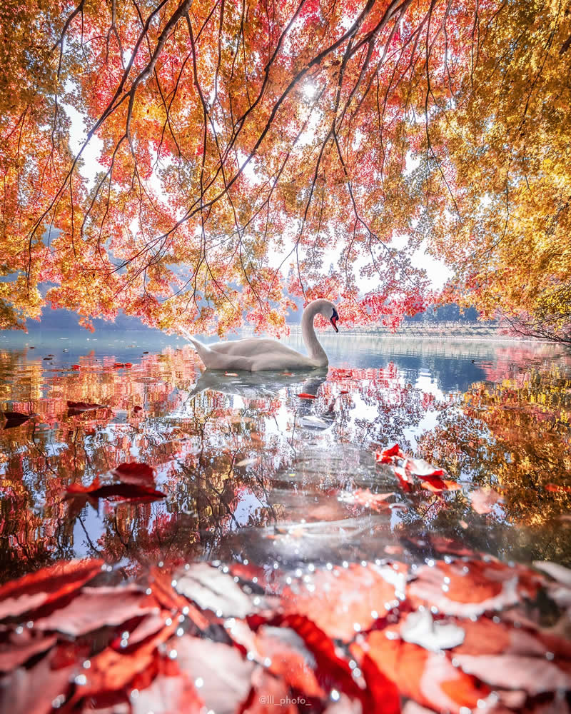 Japan Photography by Lu Hasegawa