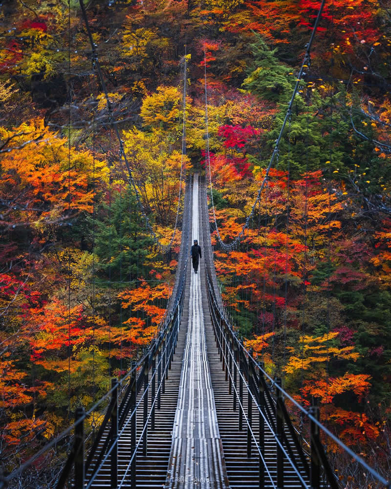 Japan Photography by Lu Hasegawa