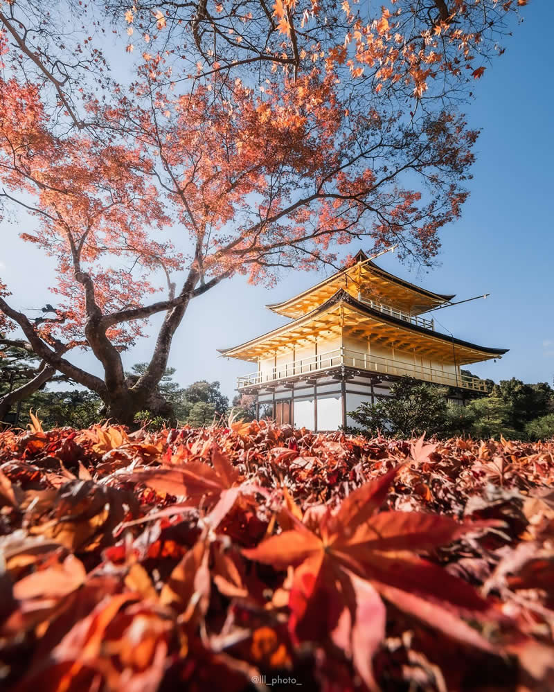 Japan Photography by Lu Hasegawa