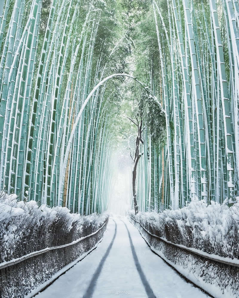 Japan Photography by Lu Hasegawa