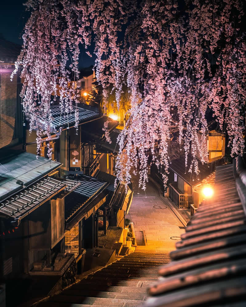 Japan Photography by Lu Hasegawa