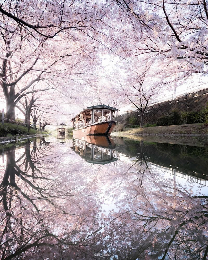 Japan Photography by Lu Hasegawa