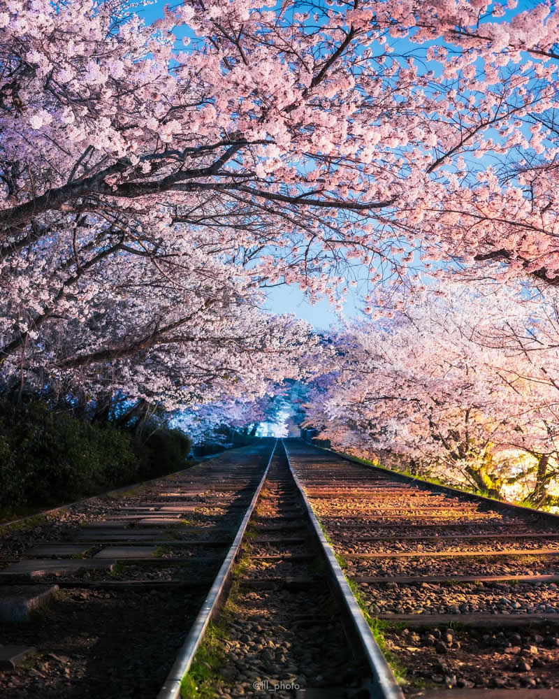 Japan Photography by Lu Hasegawa
