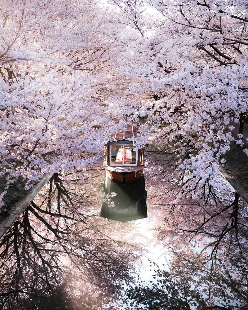 Japan Photography by Lu Hasegawa