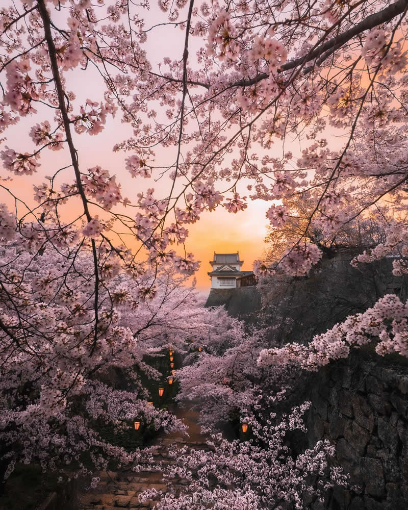 Japan Photography by Lu Hasegawa