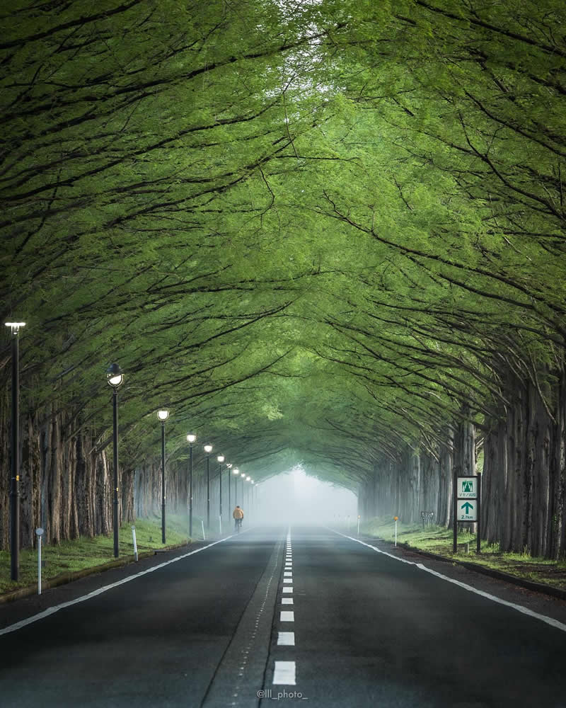 Japan Photography by Lu Hasegawa