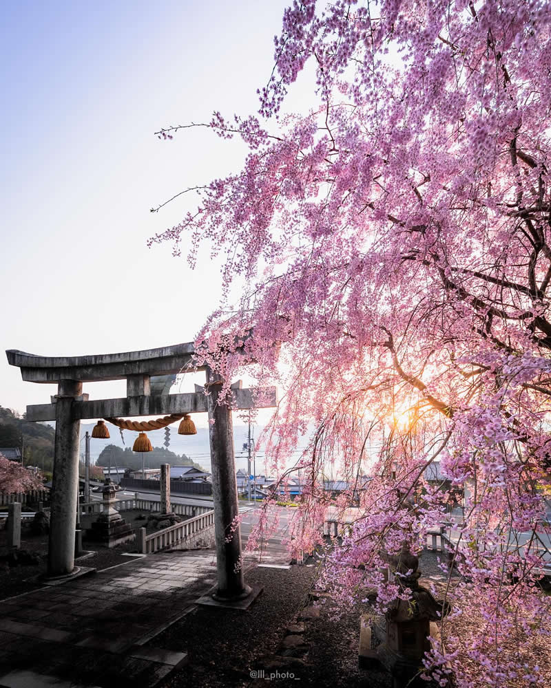 Japan Photography by Lu Hasegawa