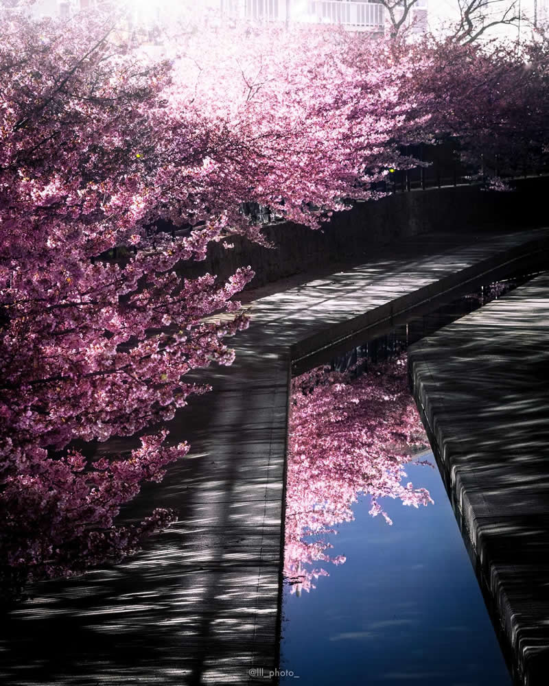 Japan Photography by Lu Hasegawa