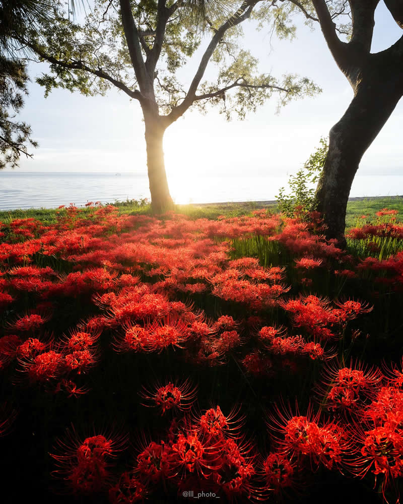 Japan Photography by Lu Hasegawa