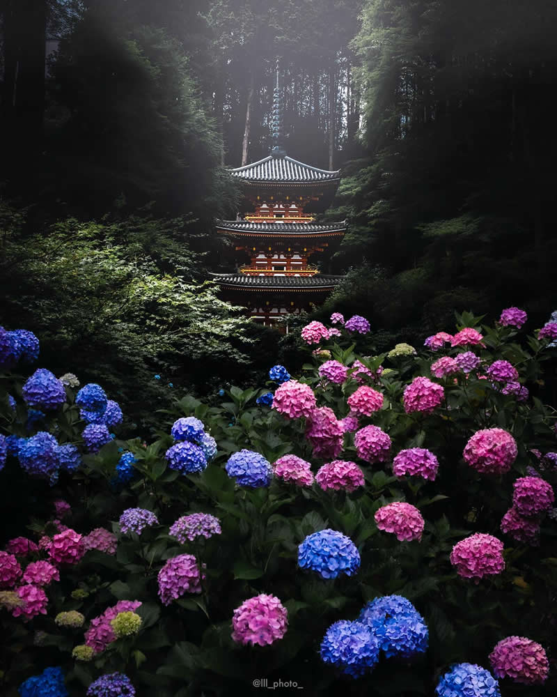 Japan Photography by Lu Hasegawa