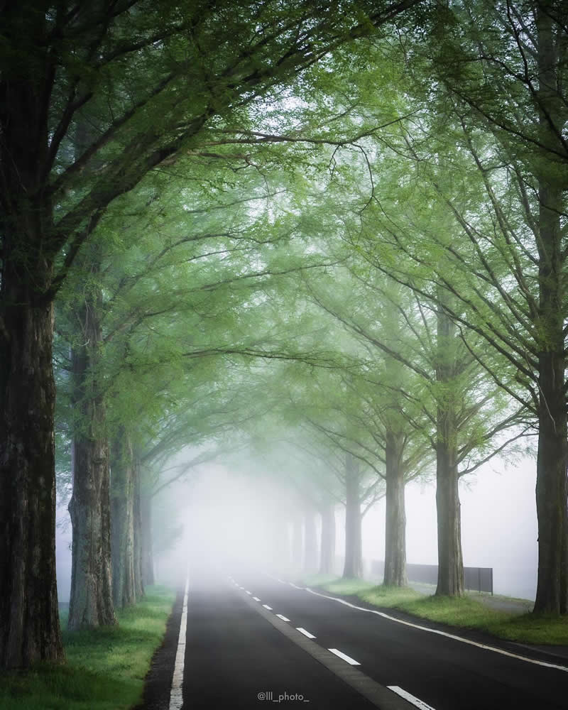 Japan Photography by Lu Hasegawa