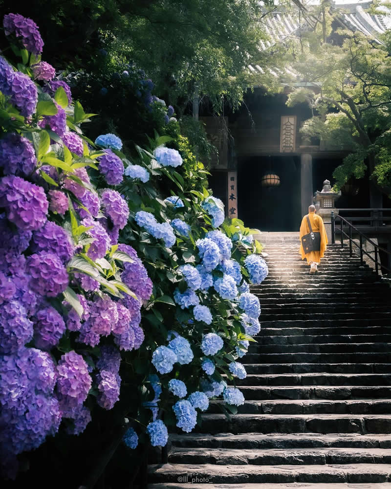 Japan Photography by Lu Hasegawa