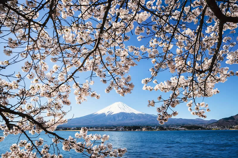 Japan Photography by Lu Hasegawa